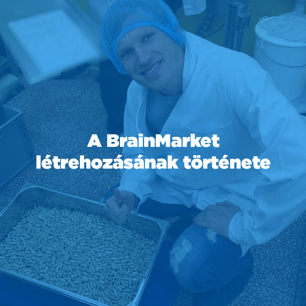 jak vznikal brainmarket HU